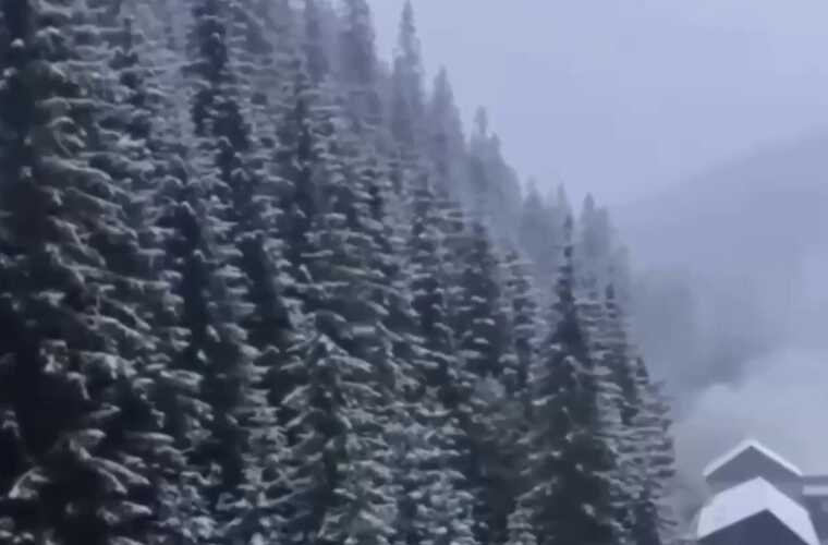 На заході України настала справжня зима: Івано-Франківську область засипало снігом