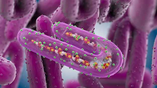 Нова африканська епідемія вірусу Марбург невдовзі сколихне світ, – ВООЗ