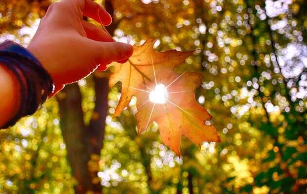 В Україну повертається літо, - синоптики