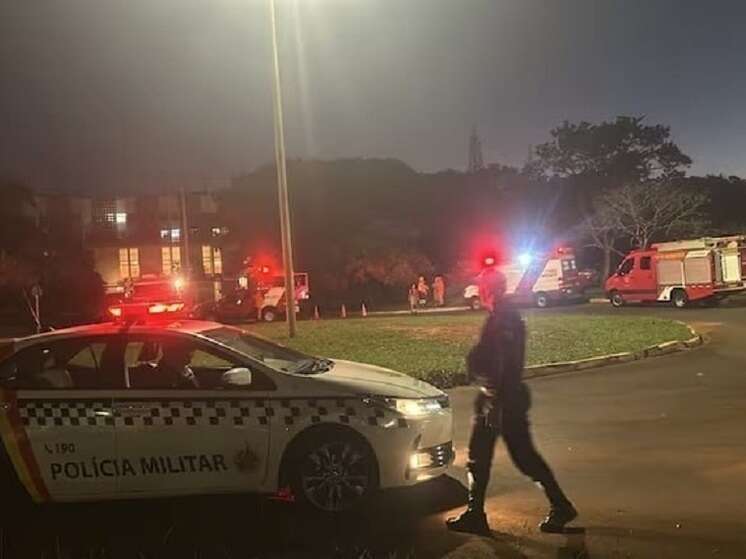 У Бразилії дитина залізла у ветеринарну клініку і вбила понад 20 тварин