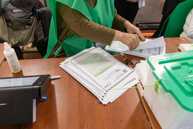 В Раде прокомментировали выборы в Грузии