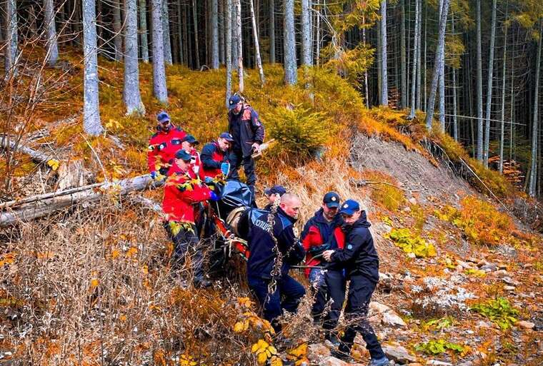 На Прикарпатті двоє людей заблукали в лісі: чоловіка знайшли мертвим