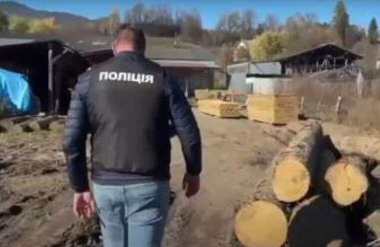 Поліція виявила банду «чорних лісорубів», яка вирубила ліс на 40 мільйонів