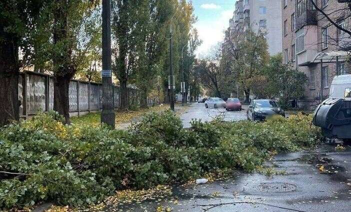 Буревій в Україні: в Дніпрі потужний вітер повалив зупинку, двох жінок придавило