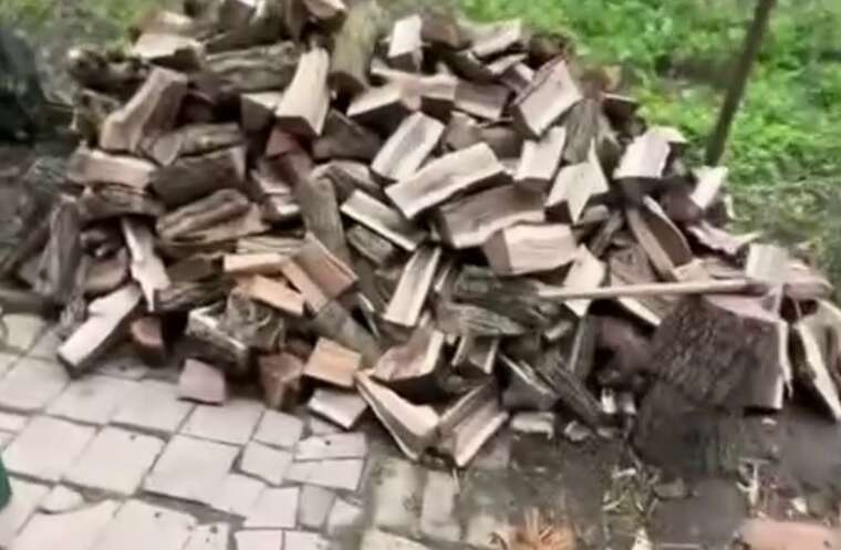 В українському ТікТоці набуває популярності тренд "закону про дрова"