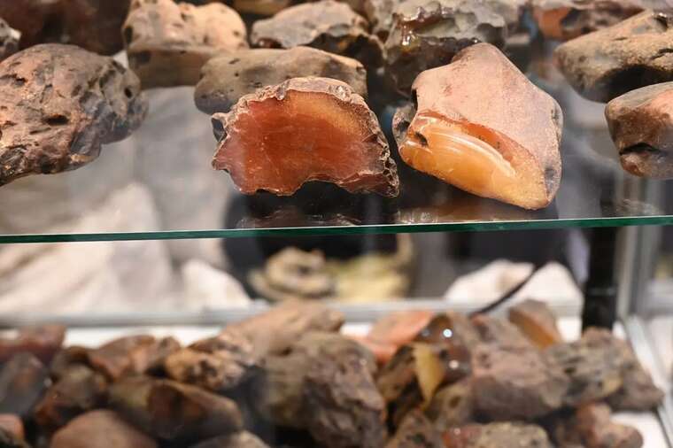 Китайський бізнесмен купує найбільшого приватного видобувача бурштину в Україні