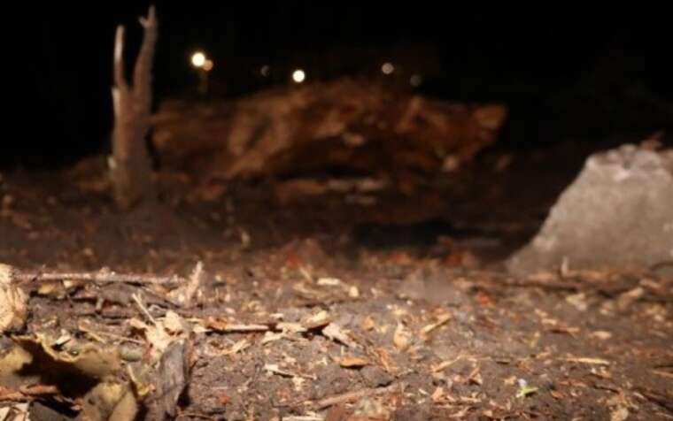 Вчора ввечері окупанти завдали удару по Харкову ракетою «Гром-Е1»