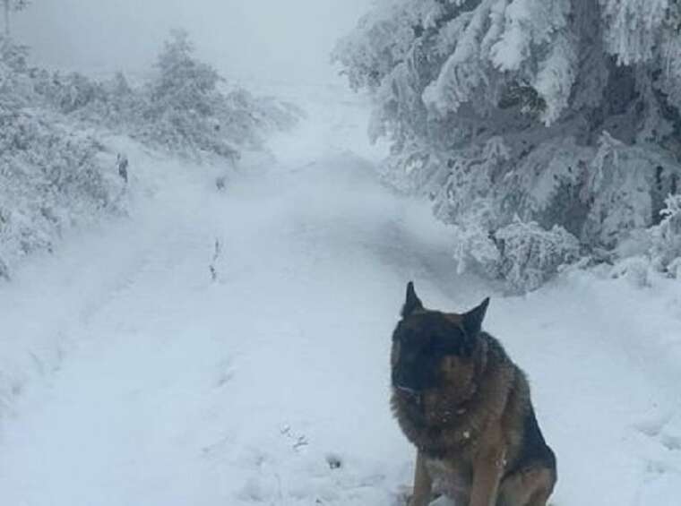 В ГПСУ показали, как замело снегом украинско-румынскую границу