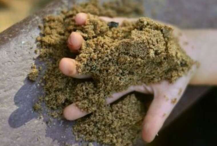 На Рівненщині 13-річний підліток загинув через зсув піску