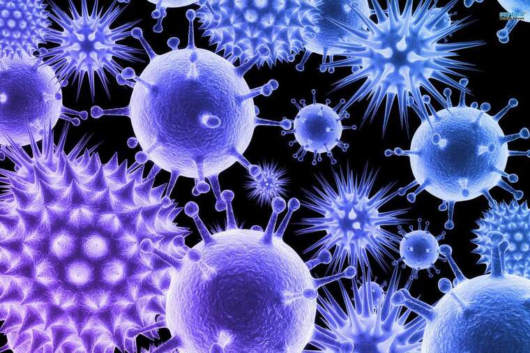 У Республіці Конго зафіксували спалах невідомого вірусу: відомо про 143 жертви