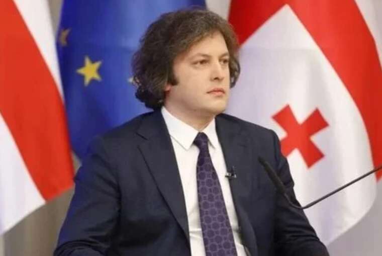 Прем’єр-міністр Грузії пояснив обшуки в офісах опозиції