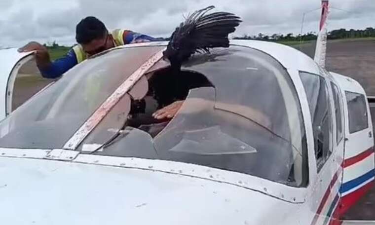 У Бразилії стерв’ятник пробив кабіну літака: пілот здійснив екстрену посадку