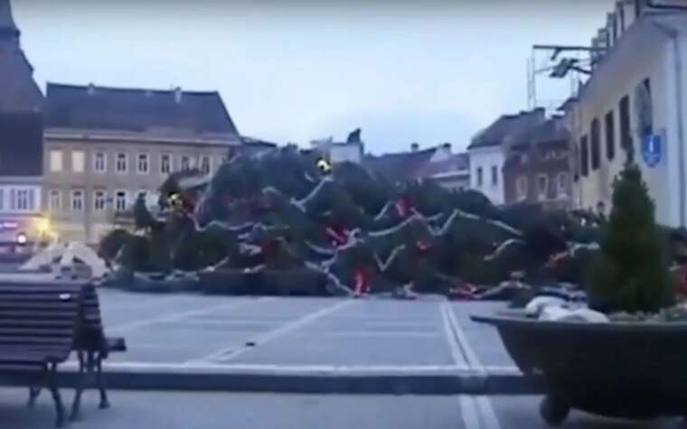 У Румунії впала найвища новорічна ялинка в країні