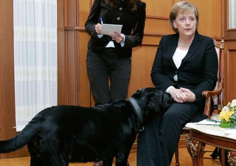 Путін у 2007 році намагався залякати Меркель своїм собакою