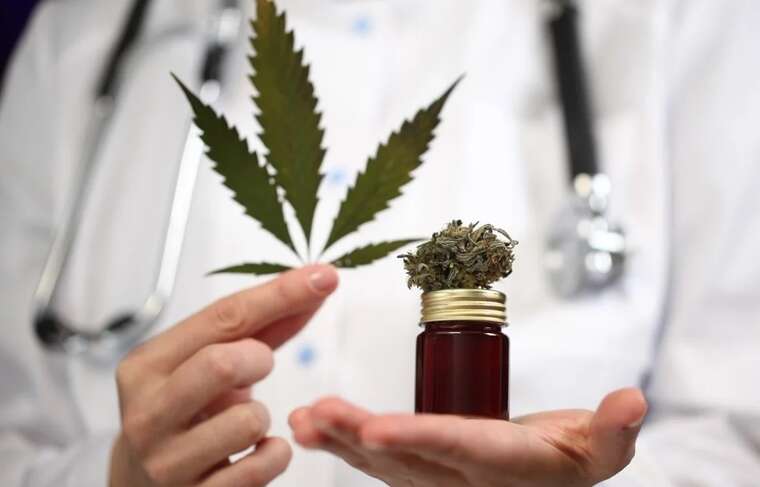 Препарат на основі медичного канабісу в Україні може з’явитися у січні, - Стефанішина
