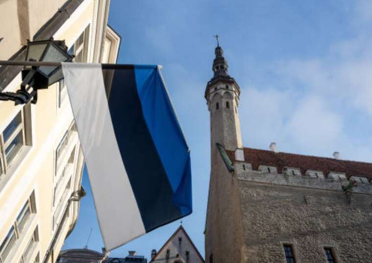 Естонія викликала грузинського посла через насильницькі дії влади проти громадян