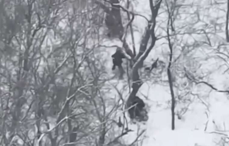 Special Operations Forces eliminated 50 North Korean military personnel in the Kursk region