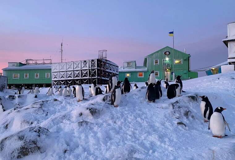 Національний антарктичний науковий центр витратить додаткові 580 тисяч доларів на полярників