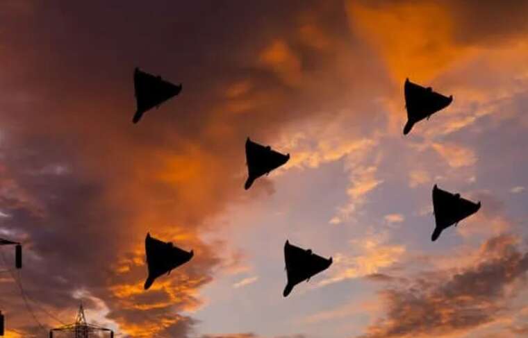 The occupiers launched 113 UAVs at Ukraine overnight