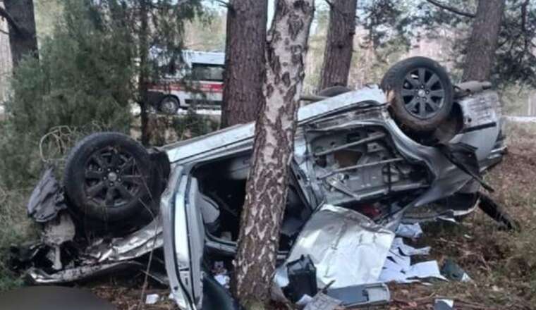 ДТП на Волині: автомобіль перекинувся та застряг між дерев, загинула пасажирка