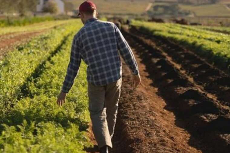 Росіяни планують продати земельні ділянки українців, які покинули окуповані території