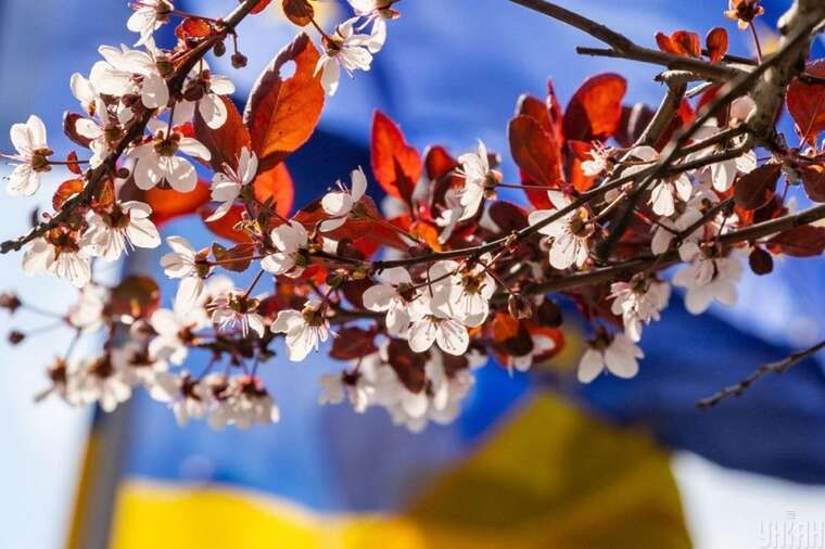 В Украине установили новый государственный праздник – День межнационального согласия и культурного многообразия