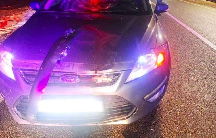 На Прикарпатье 19-летняя водитель смертельно травмировала пешехода