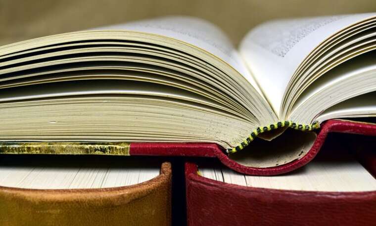 «Бусифікація» стала словом року в Україні