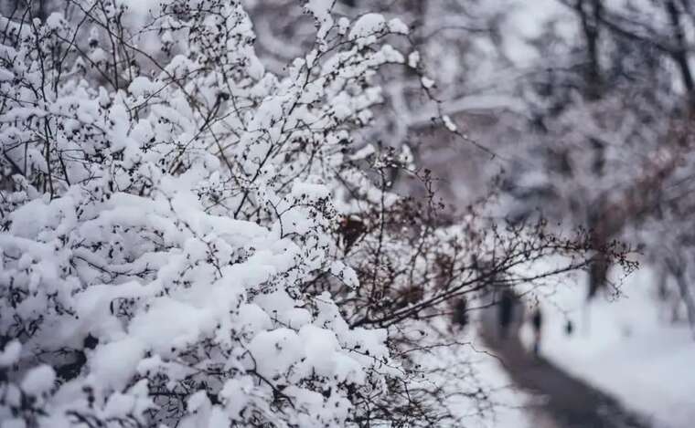 Україну накриють сильні морози - до -20°С