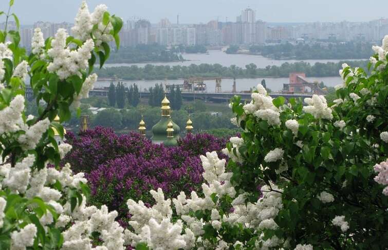 ОГП: Прокурори перевіряють законність будівництва в Національному ботсаду імені Гришка