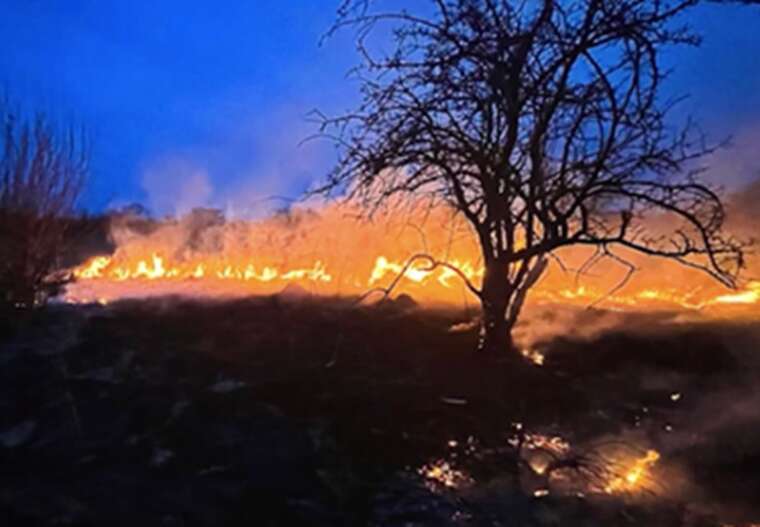 У Чернівцях горіло два гектари трави