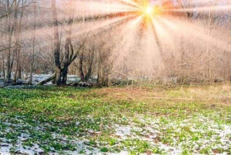 На юге и западе Украины в конце января потеплеет до +15 градусов