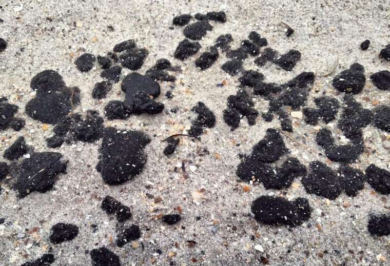 К берегам Одесской области прибило мазут с затонувших российских танкеров