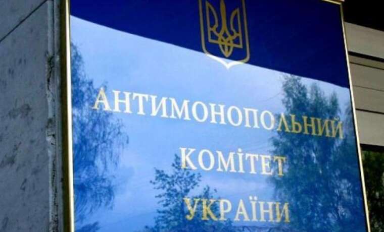 Чиновниця АМКУ Ірина Данич декларує майно, яке не могла придбати офіційно