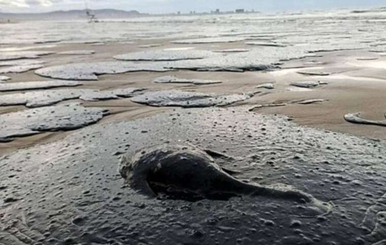 На узбережжі Одещини почали прибирати мазут із російських танкерів