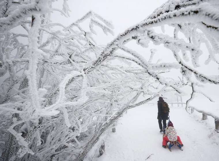 Синоптик рассказала, как долго в Украине будут держаться морозы