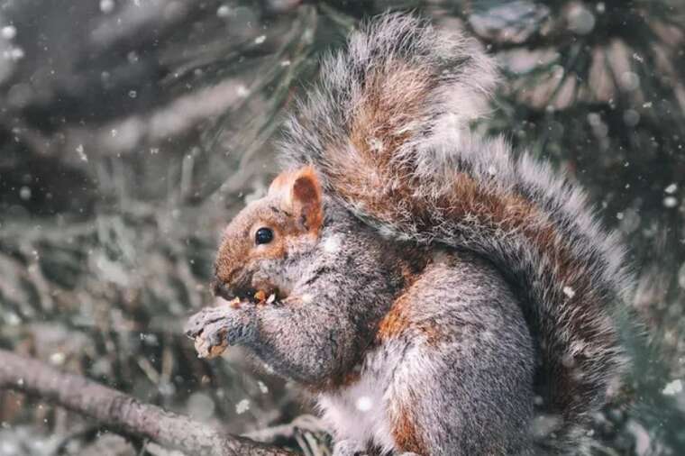 Завтра в Україні очікуються морози до -17 градусів