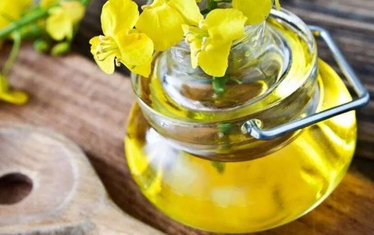 В ЄС купують білоруську олію з ріпаку, вивезеного з окупованої Херсонщини, – ЗМІ