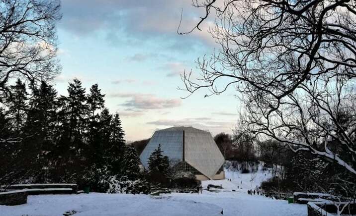 Атака "шахедів" на Київ: уламки  БпЛА впали на території Національного ботанічного саду