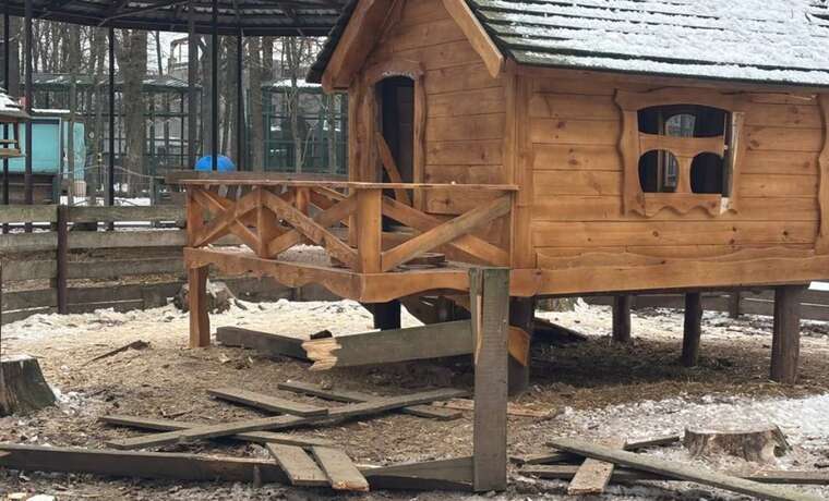 The occupiers struck the Feldman Ecopark in Kharkiv: animals were killed