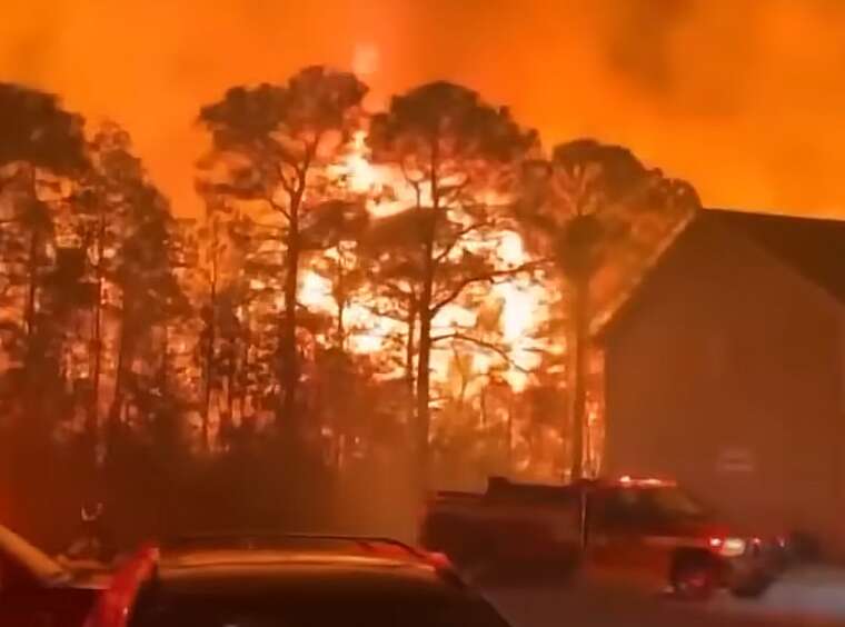 Південну Кароліну охопили сильні лісові пожежі: знищено 1600 акрів лісу
