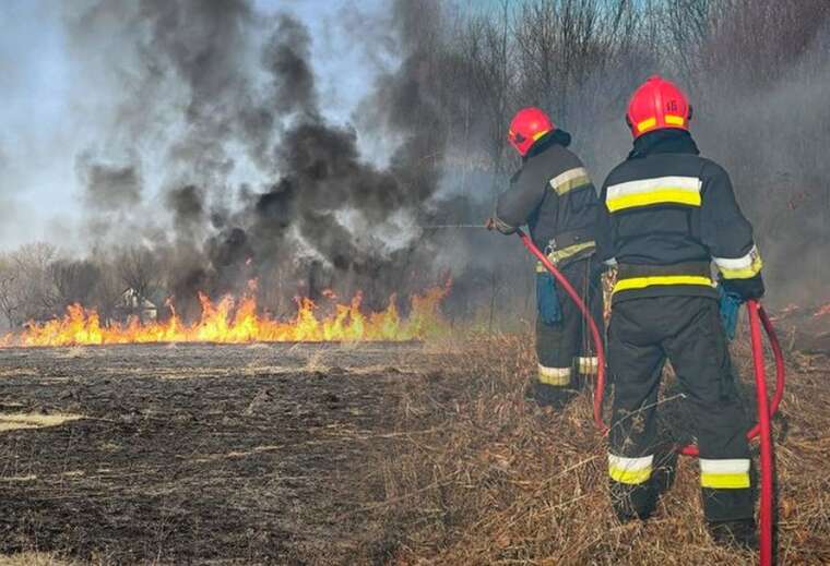 На Черниговщине во время пожара сухой травы погибла пенсионерка
