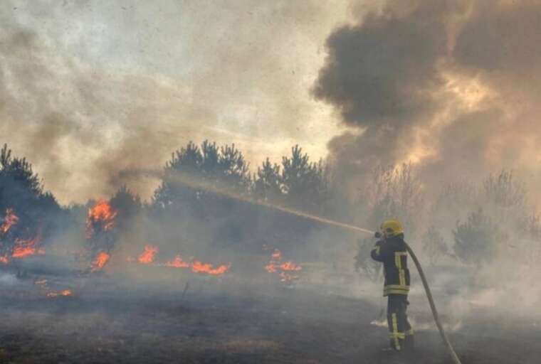 На Київщині рятувальники затримали за вихідні 24 палії сухостою