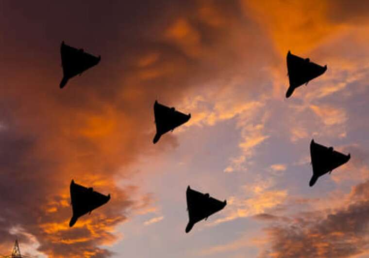 In Kharkiv, four "Shahed" drone strikes occurred this evening, - Syniehubov