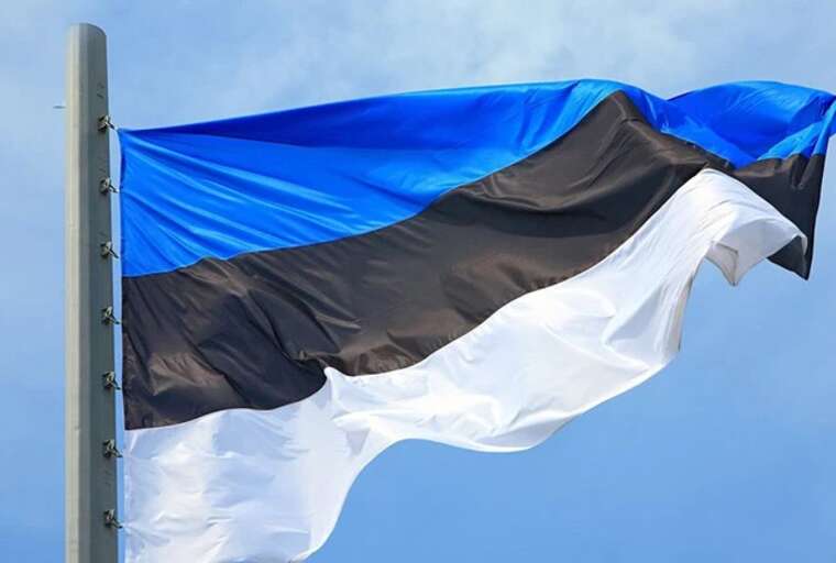 В Эстонии пригласили "коалицию желающих" оказать Украине более безотлагательную помощь