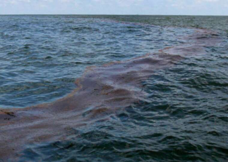 На побережье Одесской области обнаружены новые участки загрязнения мазутом