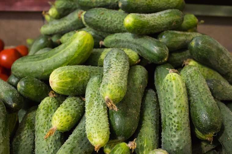 В Україні подорожчали тепличні огірки: попит зростає, імпорт скорочується