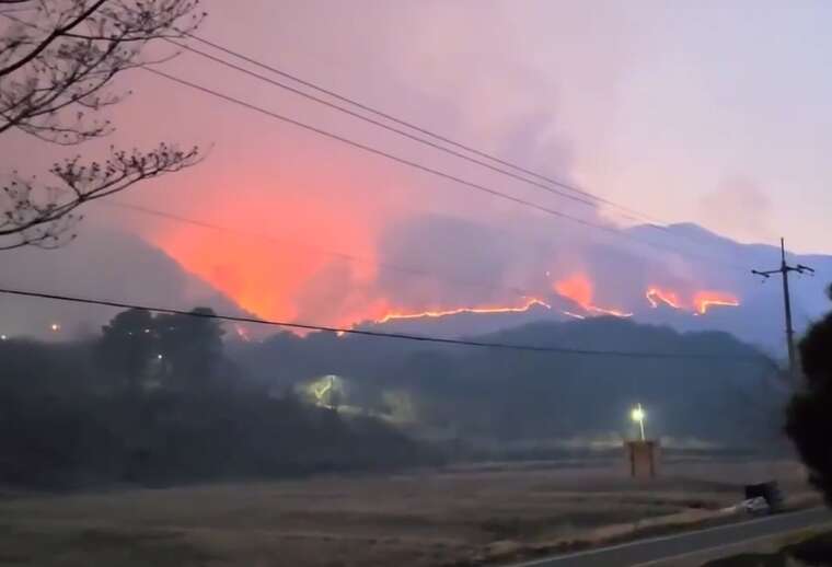 Сильні пожежі в Південній Кореї: загинули 4 людини, згорів старовинний храм