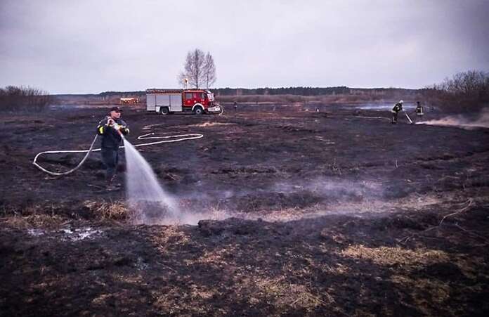 Відбулось через спалювання сухої трави: На Київщині горять торфовища