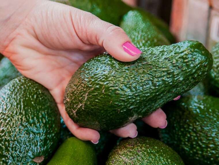 В Киев мог попасть опасный авокадо из Перу